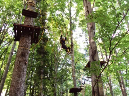Zdjęcie 8