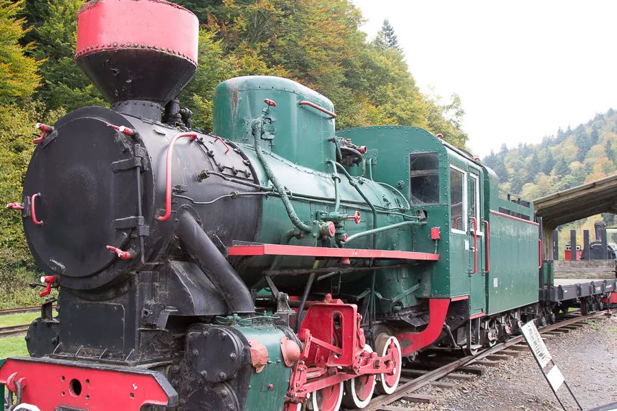 Zdjęcie 39