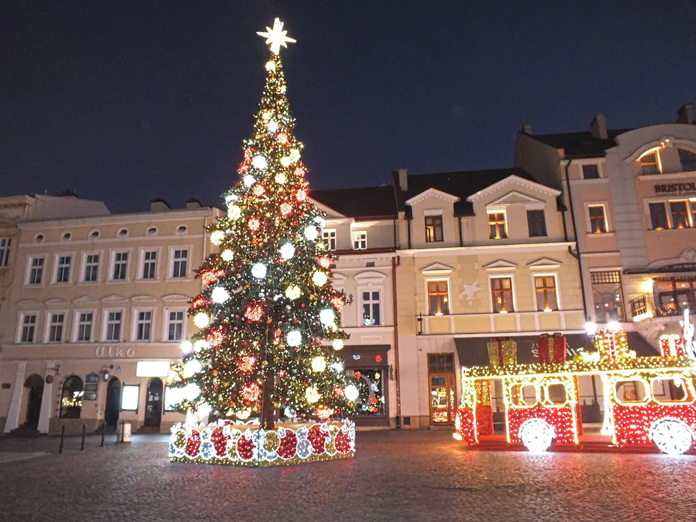 Zdjęcie 14