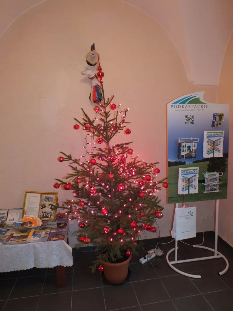 Zdjęcie 23