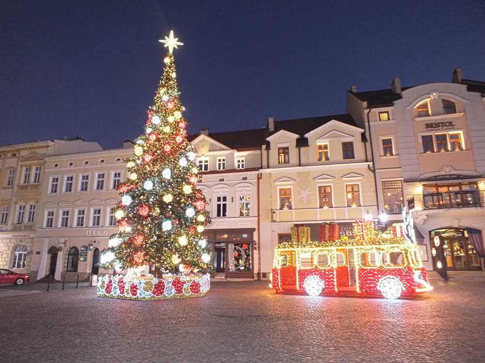 Zdjęcie 15