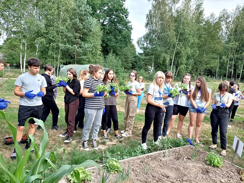 Zdjęcie 13