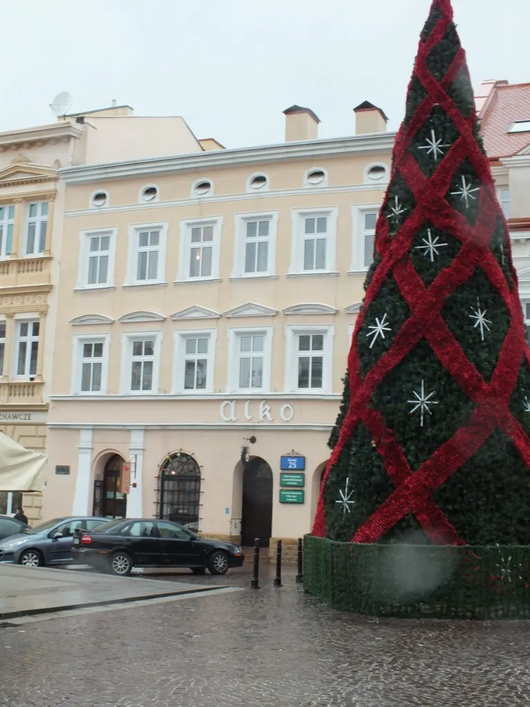 Zdjęcie 17