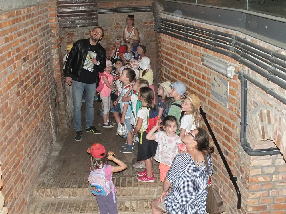 Zdjęcie 15